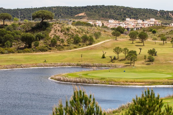 Planes únicos para tus vacaciones