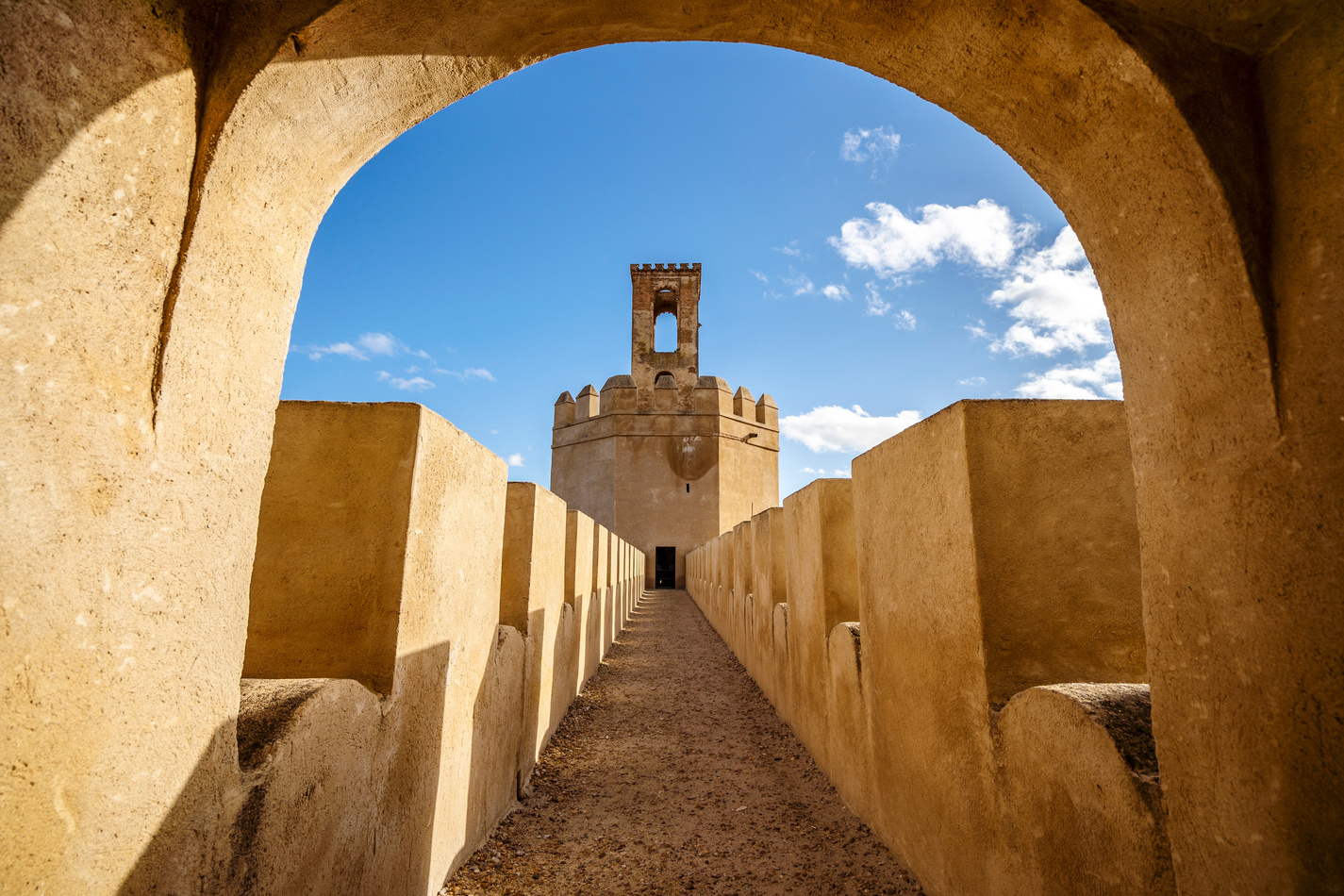 AdobeStock_409257873